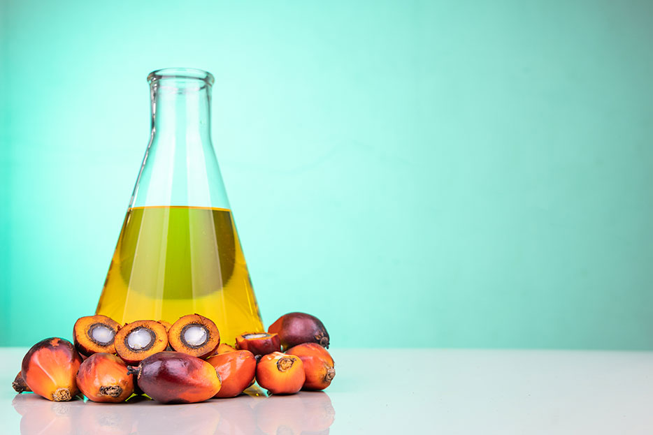 Ácido palmítico: ¿Ya lo conoces?